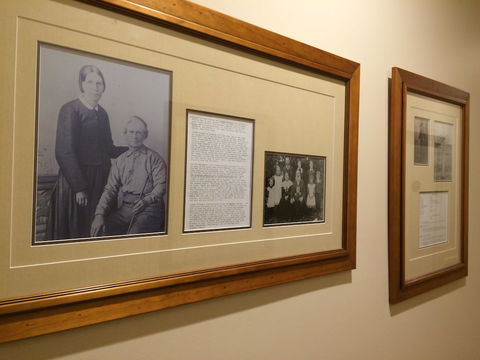 Eumundi Gridley Homestead B&B - Tourism Caloundra 3