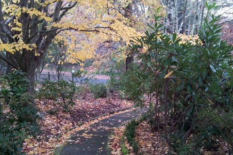 Kubba Roonga Guesthouse - Luxury Spa Retreat - Tourism Caloundra 2