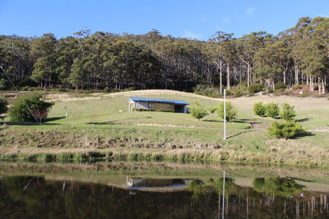 Cherryview Cygnet - Tourism Caloundra 6