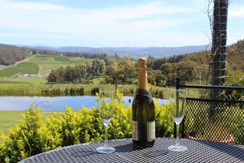 Cherryview Cygnet - Tourism Caloundra 5