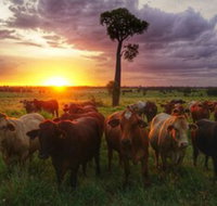 Myella Farm Stay - Tourism Caloundra