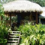 Mango Tourist Hostel - Tourism Caloundra 0