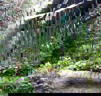 Lemonade Creek Cottages - Tourism Caloundra