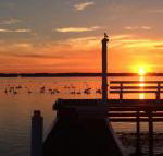 Bayview Boathouse - Tourism Caloundra