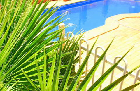 Roma Mid Town Motor Inn - Tourism Caloundra 3