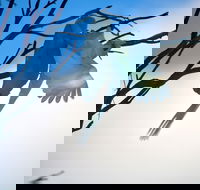 Tenterfield Cottage Holiday House - Tourism Caloundra