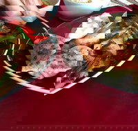 GalanGal - Tourism Caloundra