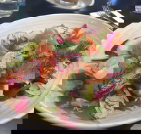 Poacher  Hound - Tourism Caloundra