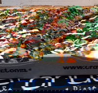 Crust Gourmet Pizza Bar Bendigo - Tourism Caloundra