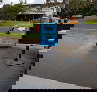 The Wooli General - Tourism Caloundra