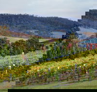 De Bortoli Winery  Restaurant - Tourism Caloundra