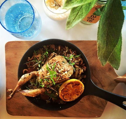 H2O Restaurant & Bar - Tourism Caloundra 10