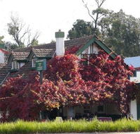 Fetching Treasures - Tourism Caloundra