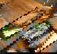 Two Little Owls Cafe - Tourism Caloundra