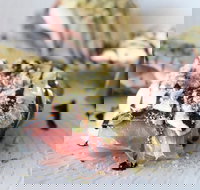 Grappa Ristorante  Bar - Tourism Caloundra