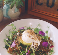 The Shak Organic Cafe  Wine Bar - Tourism Caloundra