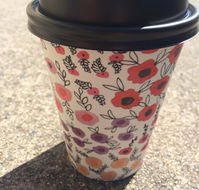 Scatter Bean - Tourism Caloundra