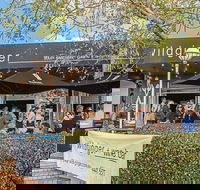 Wild Ginger - Tourism Caloundra