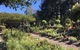 Yatte Yattah Nursery & Cafe - thumb 0