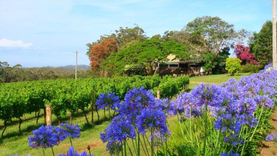 Port Macquarie NSW Tourism Caloundra