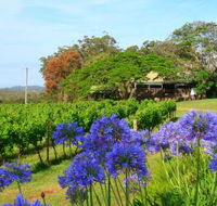 Little Fish Cafe - Tourism Caloundra