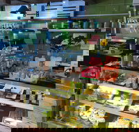 Pro Juice - Tourism Caloundra