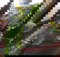 The Red Barrel Wine House - Tourism Caloundra