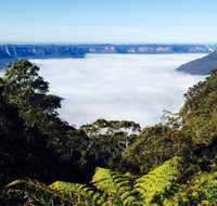 The Rooster - Tourism Caloundra