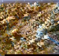 Addil Indian  Kebab Restaurant - Tourism Caloundra