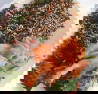 Amillys Cafe - Tourism Caloundra