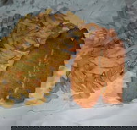 Chipp Inn - Tourism Caloundra