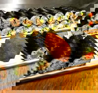 Freewave Sushi  Burgers - Tourism Caloundra