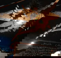 Blackfish Cafe - Tourism Caloundra