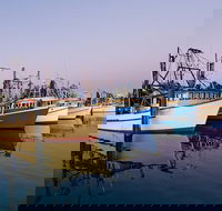 Clarence River Fishermen's Co-Operative - Tourism Caloundra