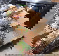 SurfSliders - Tourism Caloundra