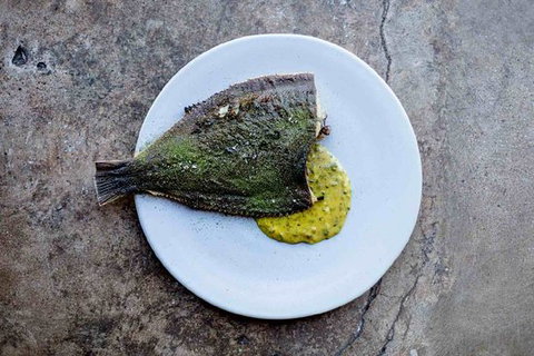 Pilot. - Tourism Caloundra 0