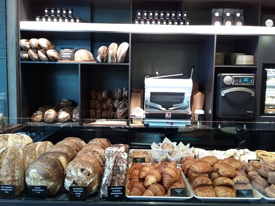 Woollahra NSW Tourism Caloundra