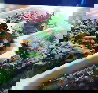 Steam  Cedar - Tourism Caloundra