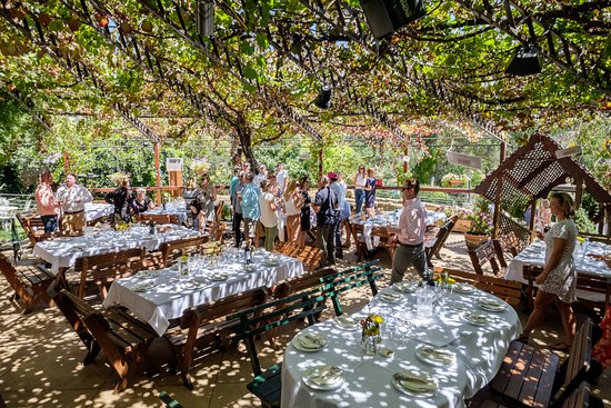 Weabonga NSW Tourism Caloundra