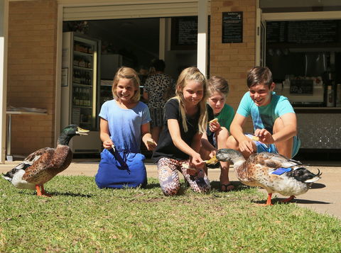 Arkarra Gardens Cafe And Restaurant - Tourism Caloundra 2