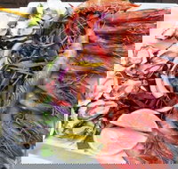 Fitzies Fish and Chips - Tourism Caloundra