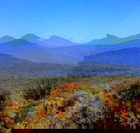 Arcadia Wines - Tourism Caloundra