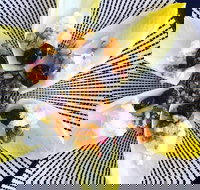 Crust - Conder - Tourism Caloundra