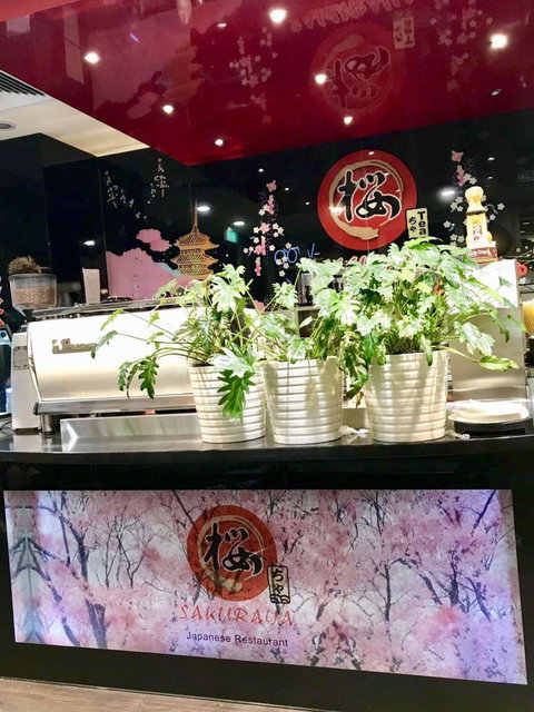 Sakuraya - Eight Mile Plains - Tourism Caloundra 0