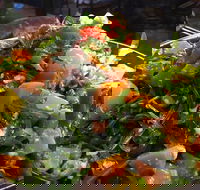 Talk to Me - Tourism Caloundra