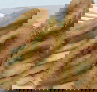 Holmview Central Bakery - Tourism Caloundra