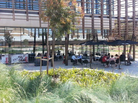 Aroma Cafe - Mawson Lakes - Tourism Caloundra 0