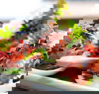 Garfish - Crows Nest - Tourism Caloundra