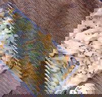 Justinian's - Tourism Caloundra