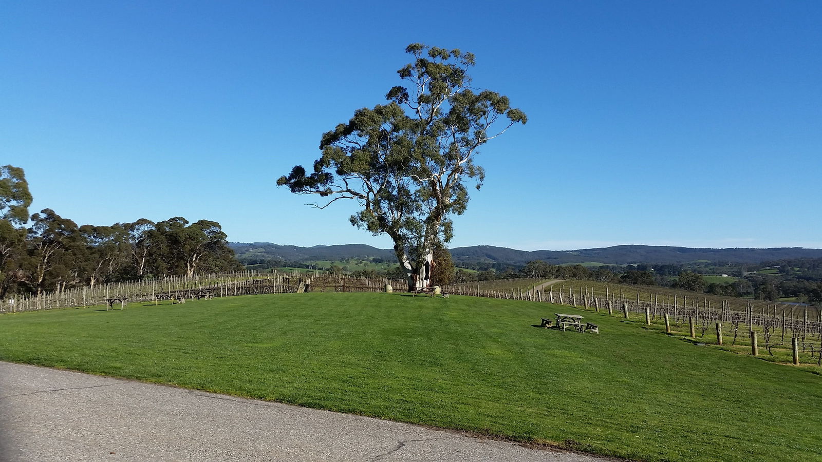 Balhannah SA Tourism Caloundra